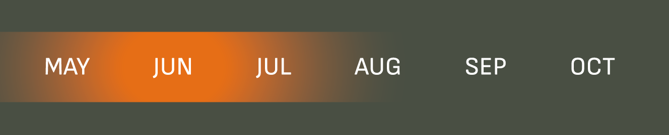 Color swatch with months labeled from May to October on a dark background