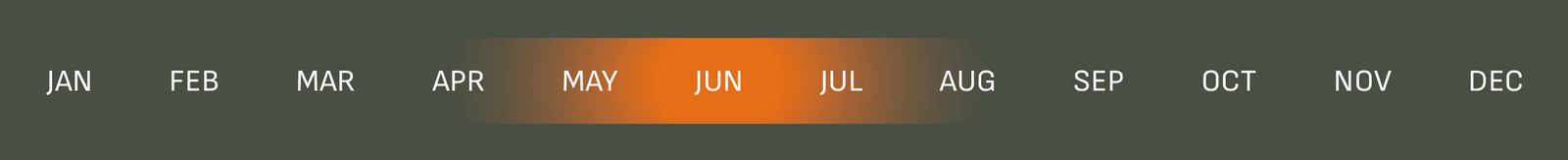 Month names displayed in a calendar format with 'JUN' highlighted in orange.