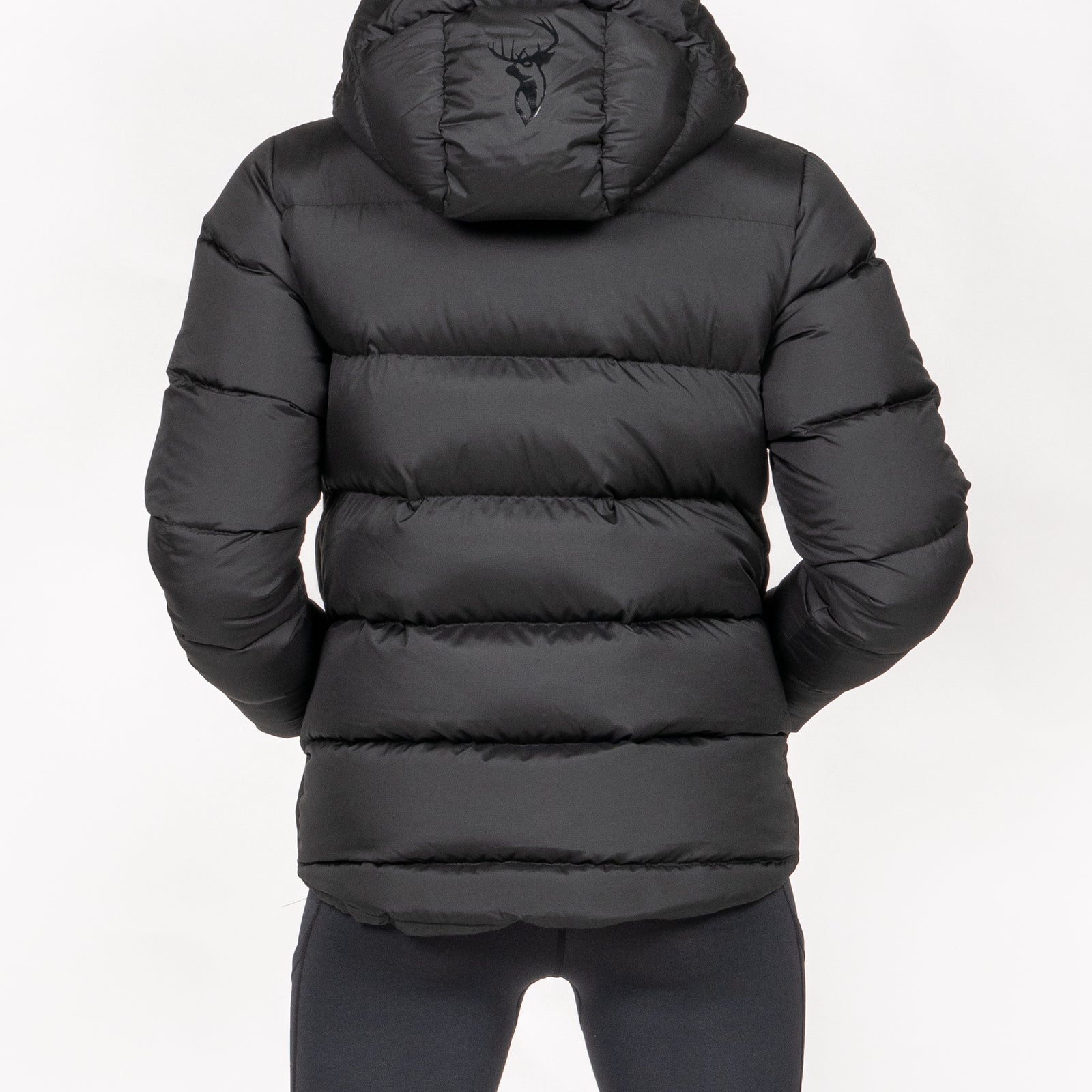 Glacier Jacket Women's