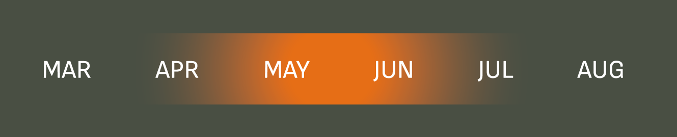 Month labels from March to August on a dark background with May highlighted in orange.