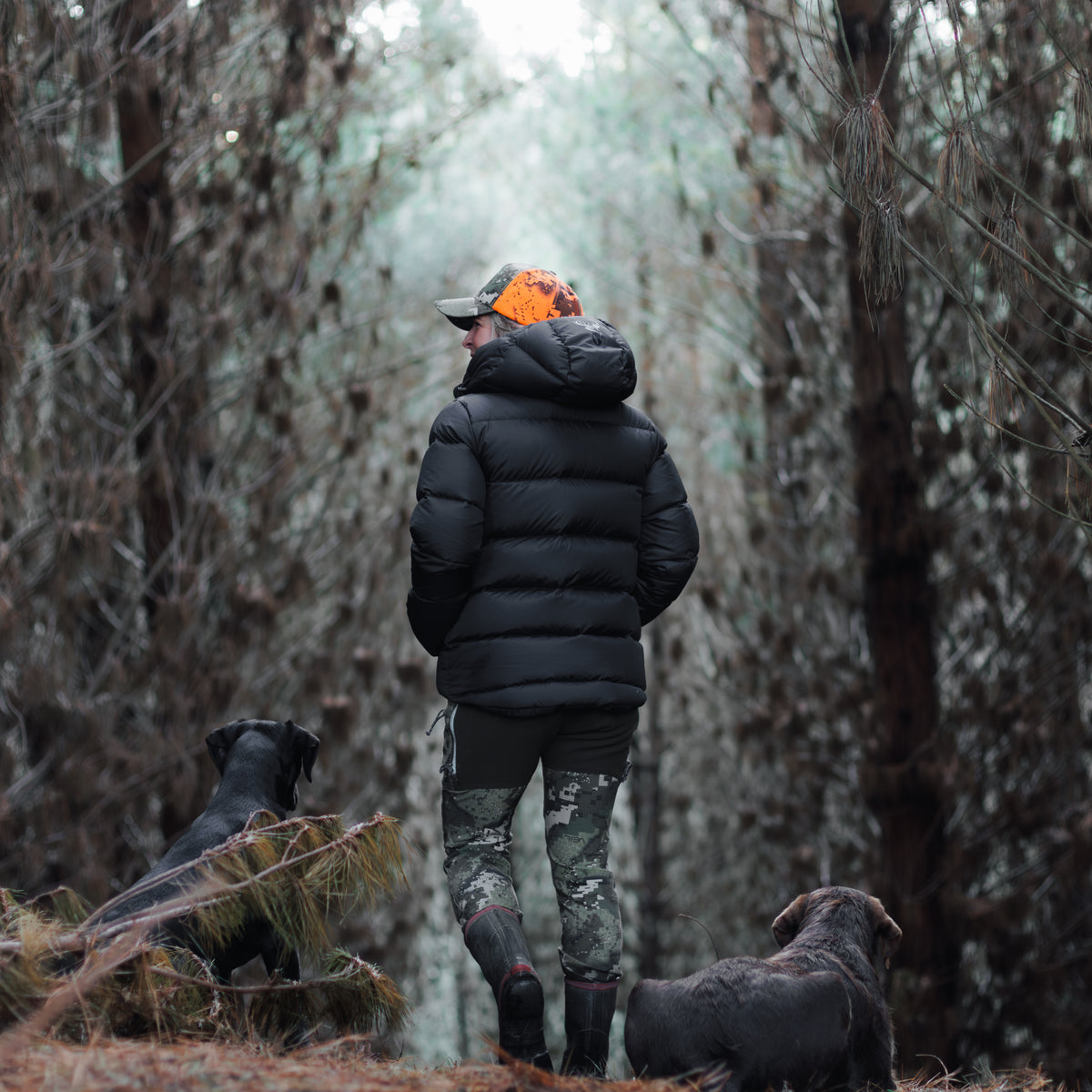 Glacier Jacket Women's