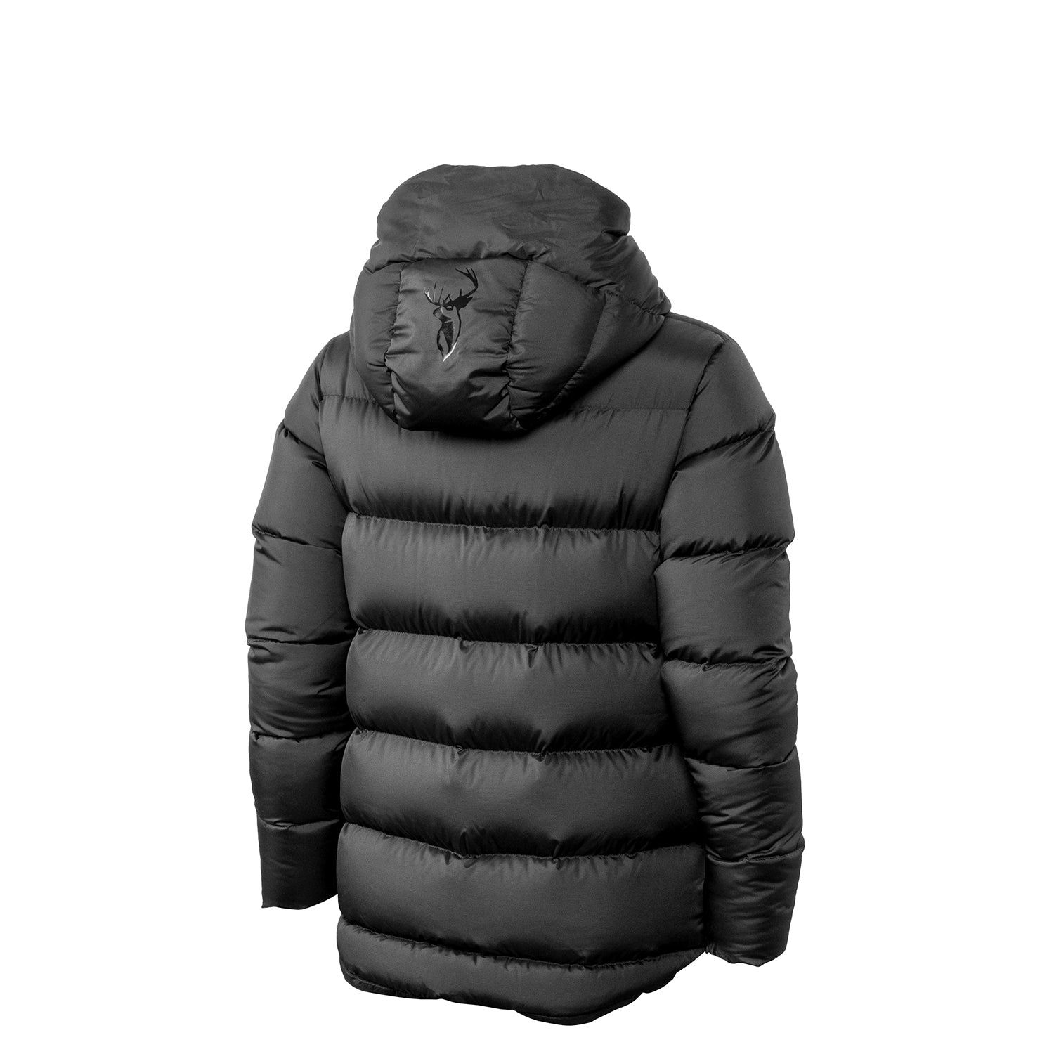 Glacier Jacket Women's