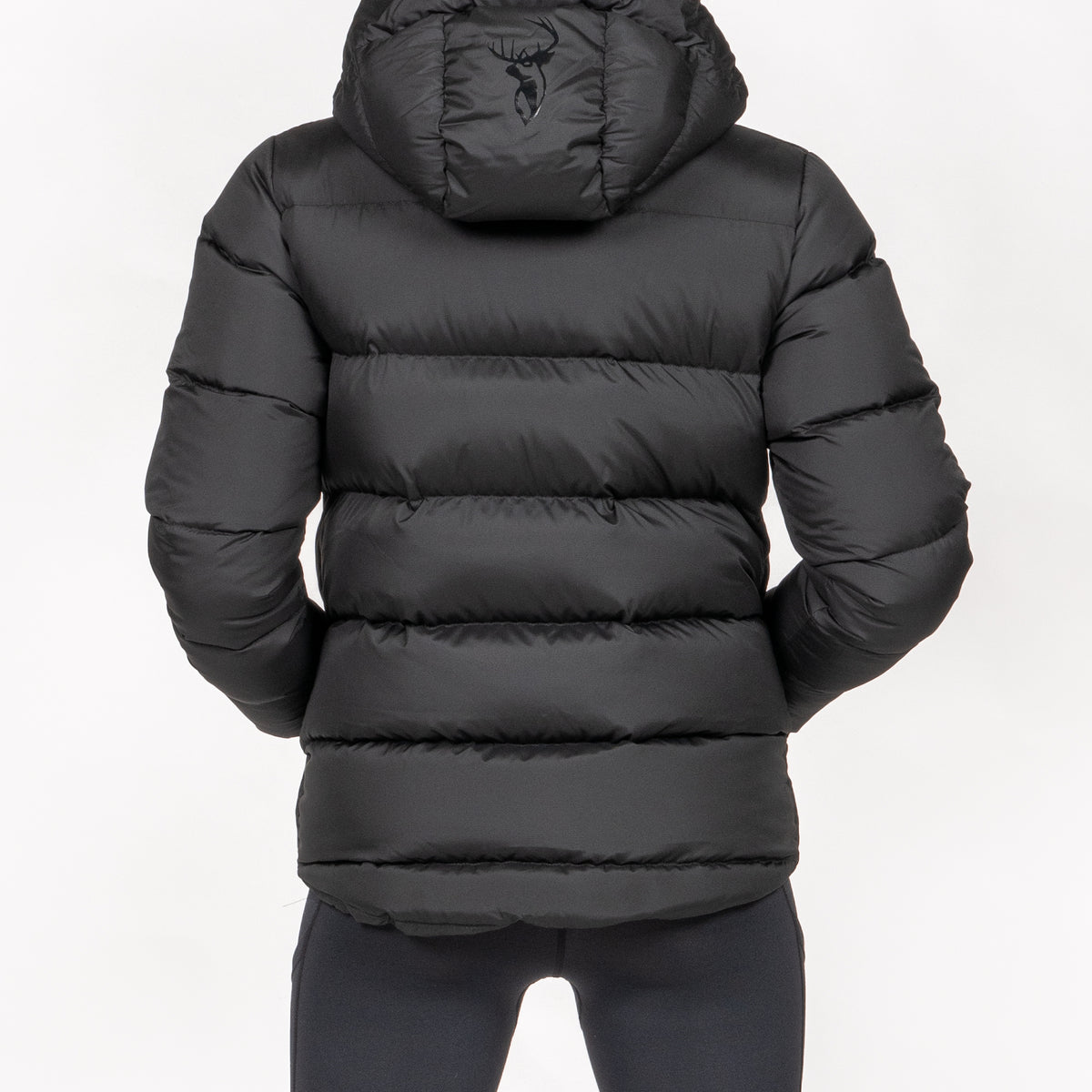 Glacier Jacket Women's